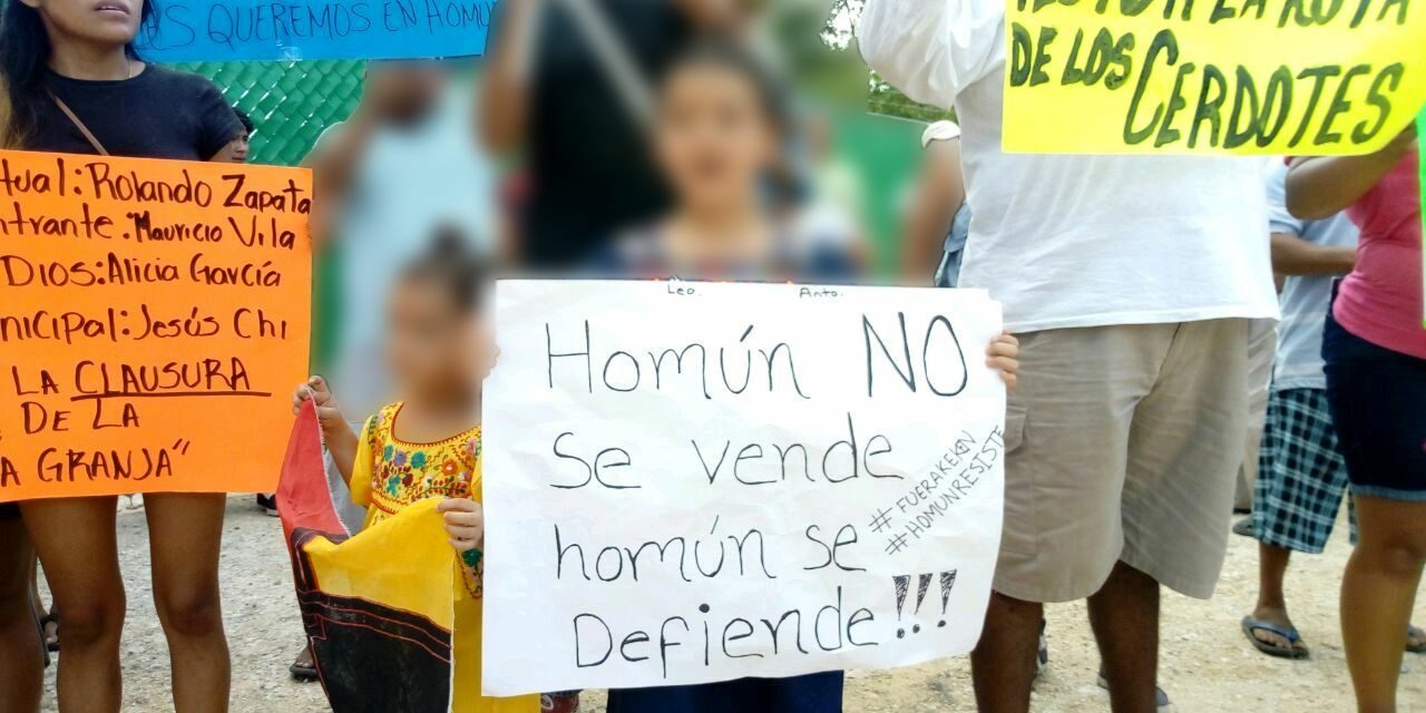 Homún: Ordena juez a megagranja porcícola suspender operaciones para proteger Infancia