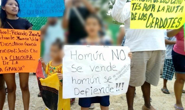 Homún: Ordena juez a megagranja porcícola suspender operaciones para proteger Infancia