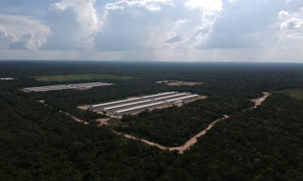 Indignación difunde que Gobierno de Yucatán favorece a inversionistas en Homún