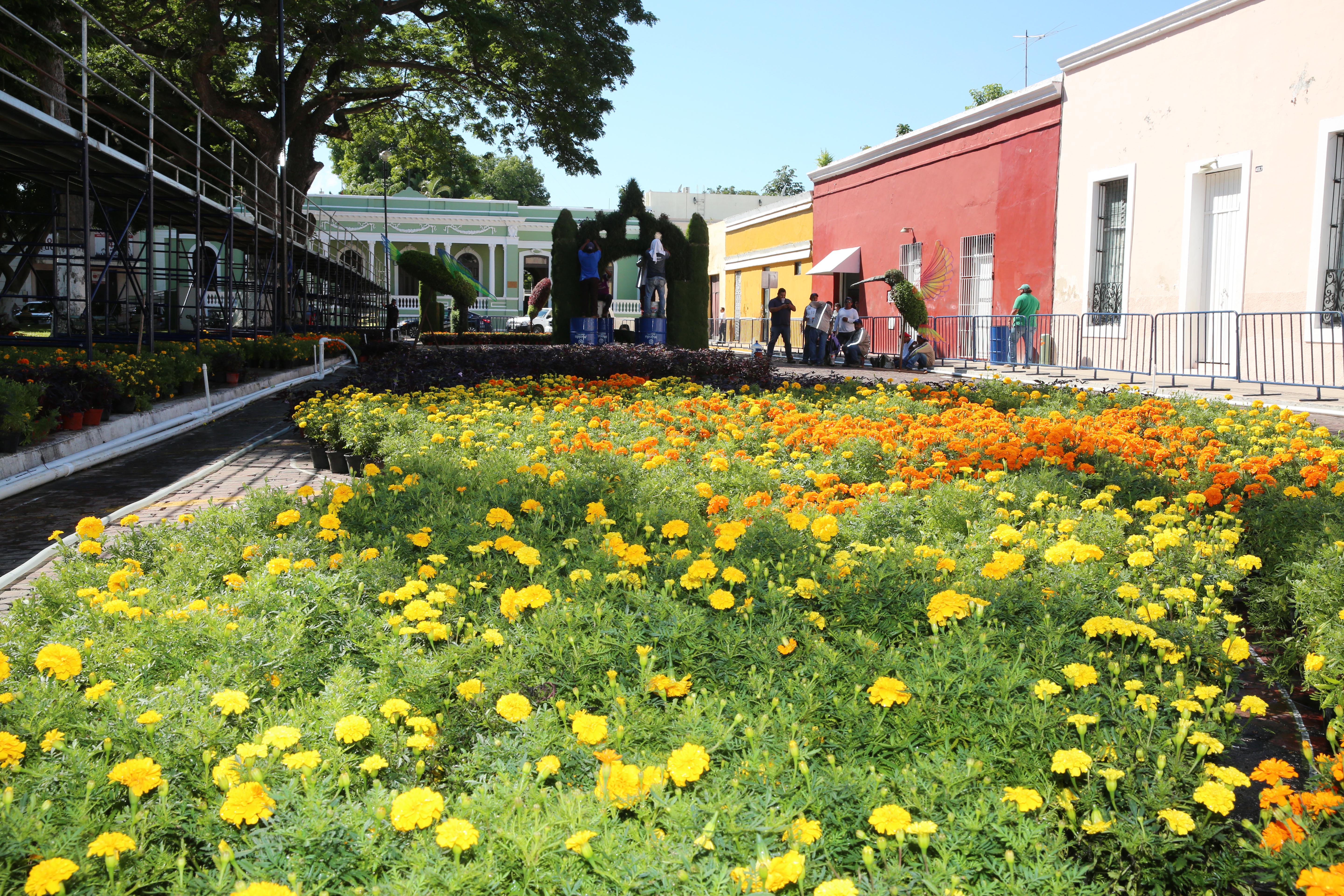 ‘Camino de Flores’ en su cuarta edición, este fin de semana | LectorMx