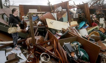 ‘Michael, aterrador’ y nadie quiere ver la devastación… un dron la muestra (video)