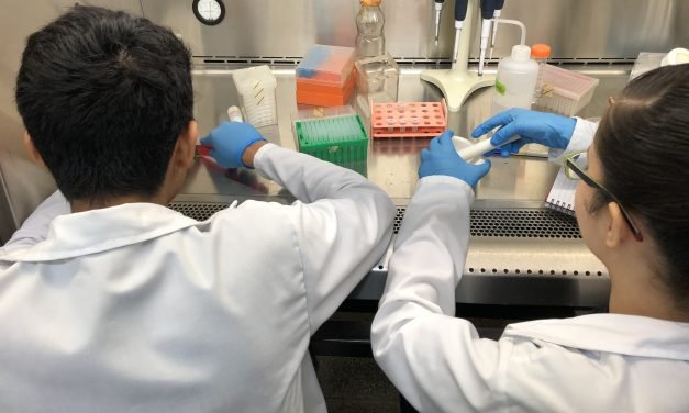 Pareja yucateca representará a México en concurso de jóvenes científicos, en Italia