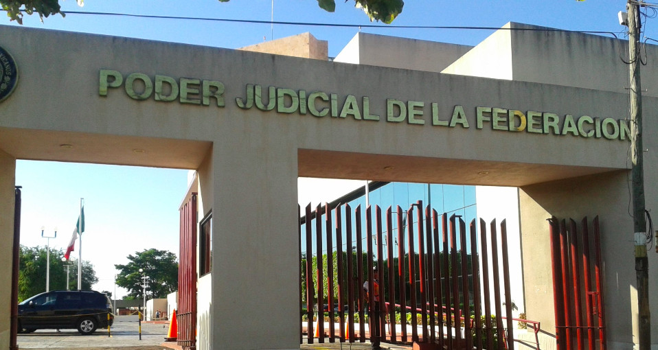 Investiga Consejo de Judicatura Federal a jueza Cámara Patrón