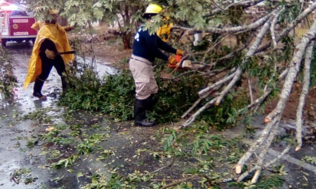 Afectaciones menores por efectos de violento norte en costas de Yucatán