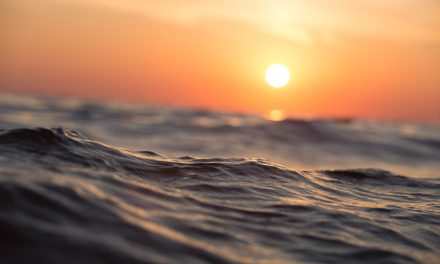 Más de 50% del oxígeno proviene del mar