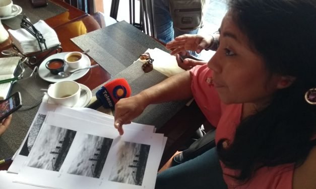 ‘En desacato’ empresa minera en Chocholá; daña apicultura