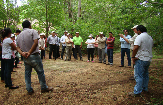 Escaso activismo sobre temas ambientales en Yucatán