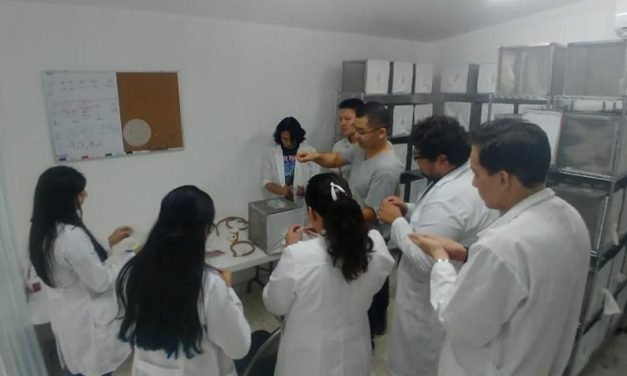 Expertos chinos extienden investigación en mosco del dengue, chikungunya y zika