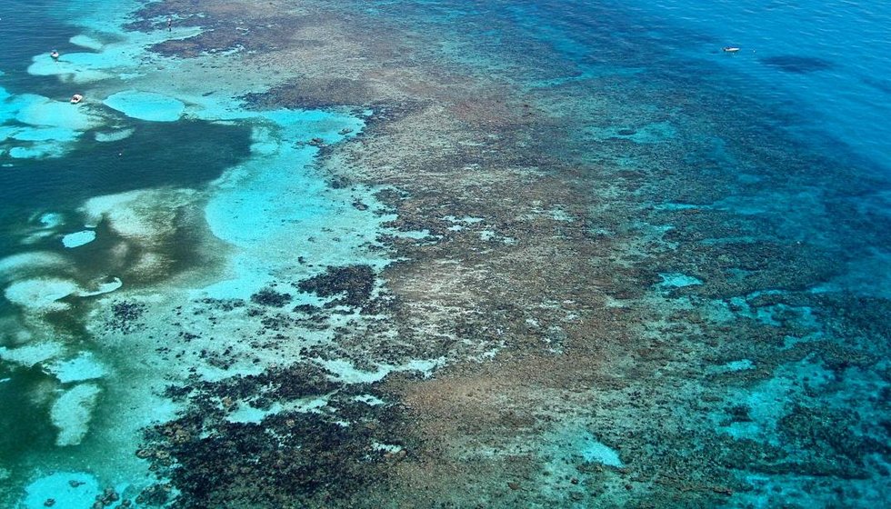 Los océanos se están volviendo más azules, pero no es una buena noticia