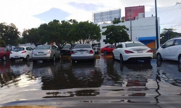 Presión y urgencia: regresar al ciclo natural del agua