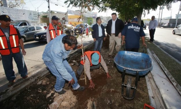 Así van los trabajos de rescate integral de la avenida Canek