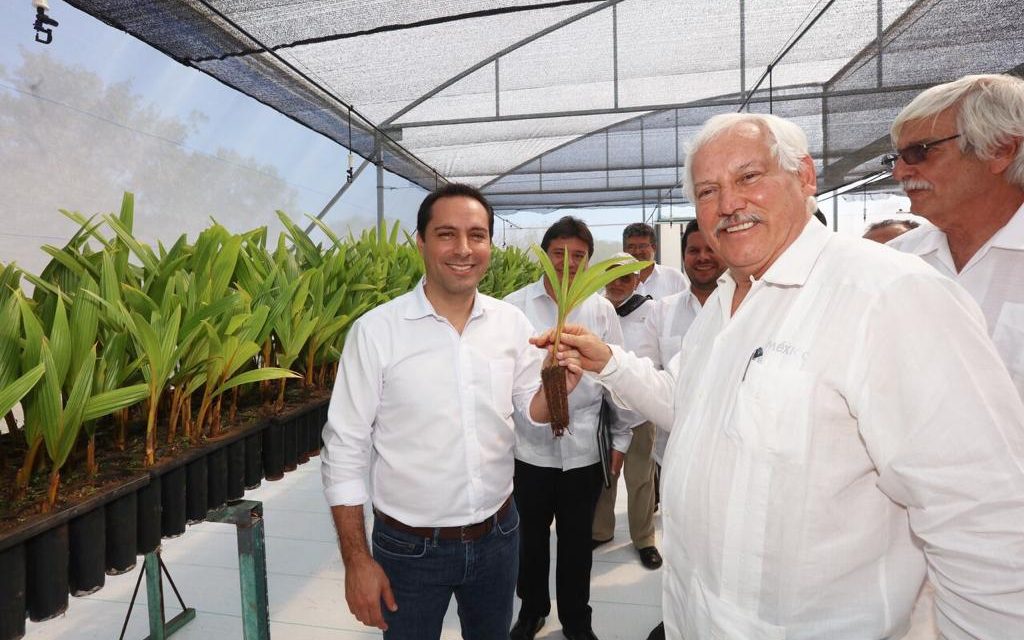 Gobierno de Yucatán y SEDER revisan programas estratégicos para campo