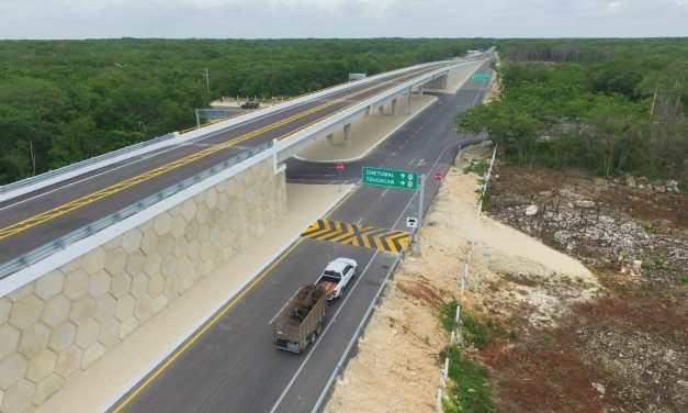 Libre rector de UQRoo, involucrado en muerte de peatón