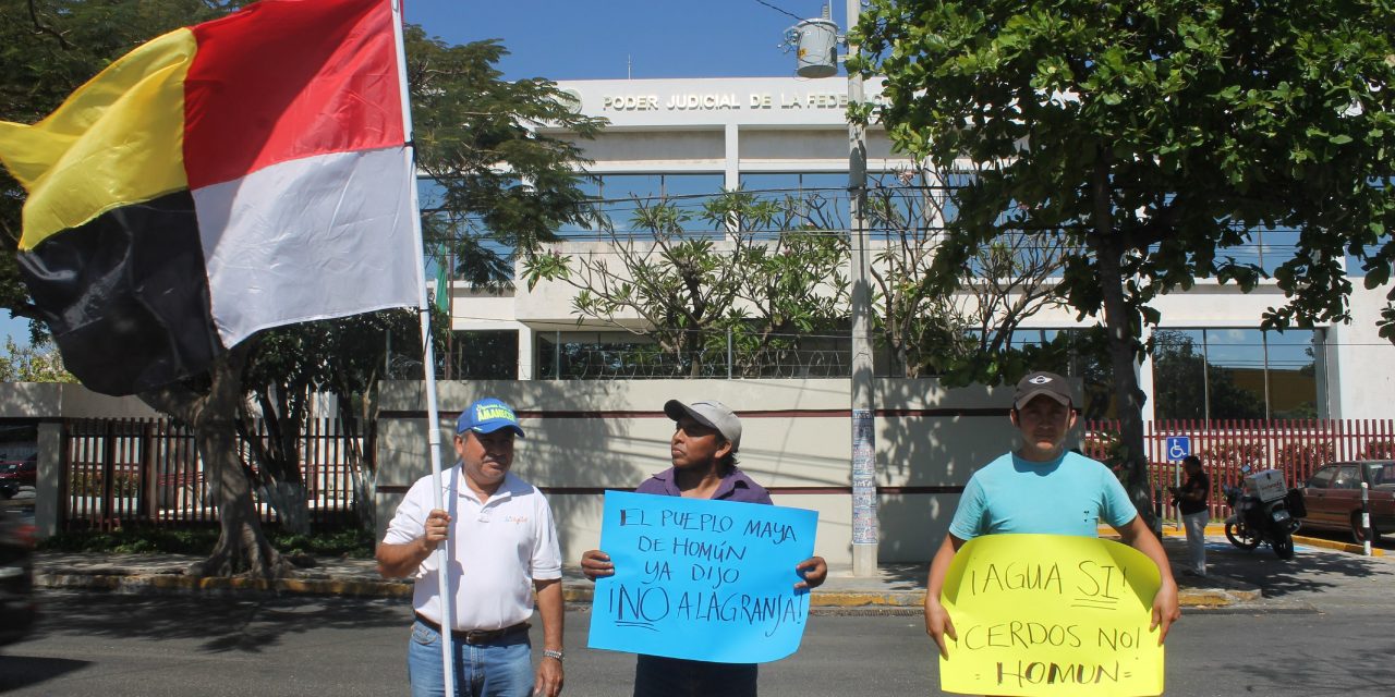 Pospuesta votación en proyecto de sentencia sobre MIA de megagranja en Homún