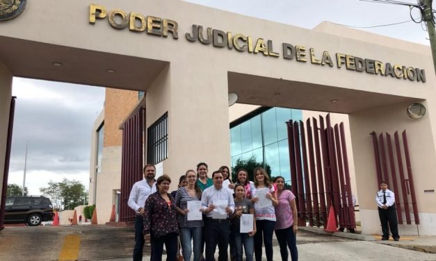 Amparos ‘en cascada’ por suspensión de apoyos a estancias infantiles