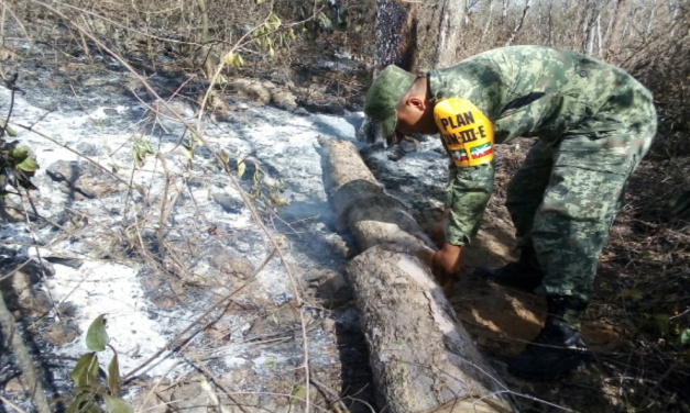 Incendio activo en reserva federal “Balam Kaax”, al sur de Yucatán