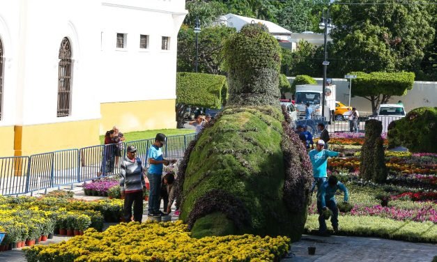 ‘Camino de Flores’, con nueva sede y mensaje de protección a la fauna