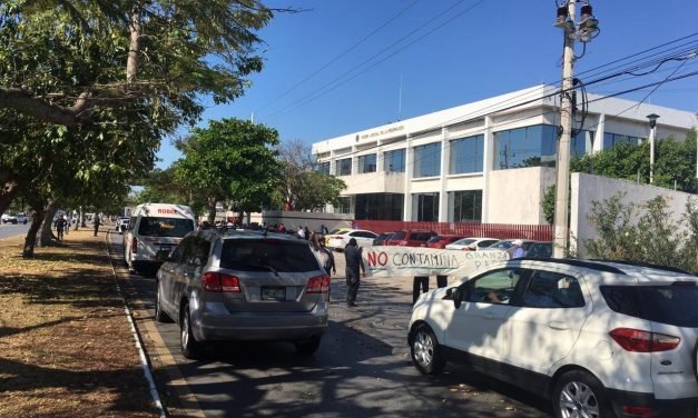 Otro amparo a favor de opositores a megagranja porcícola en Homún (Vídeo)