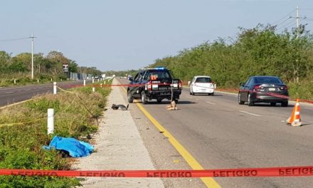 Cadáver de mujer en carretera Mérida-Motul ¿Atropellada? (Vídeo)