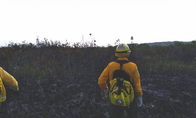 Calentamiento global relacionado con más incendios forestales