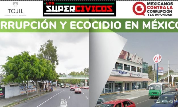 Exhiben a Farmacias del Ahorro por tala ilegal en Yucatán y otros estados