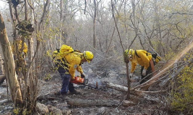 Arrasadas 305 hectáreas por dos incendios en Tetiz