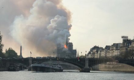 La catedral de Notre Dame en París sufre un incendio que derrumba su aguja