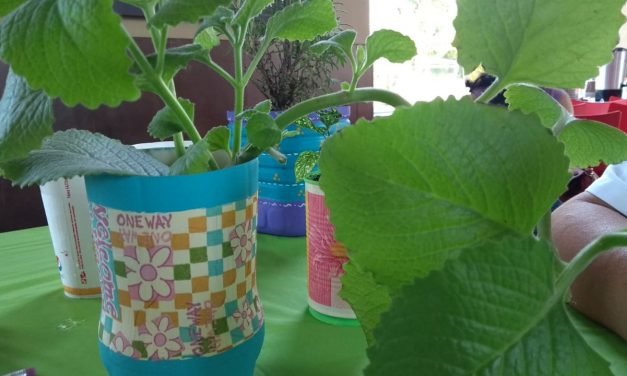 ‘Siembra vida y regala amor’, iniciativa social y por medio ambiente