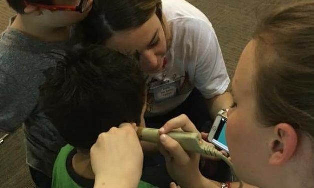 Sin apoyo federal, las OSC miran hacia otros benefactores