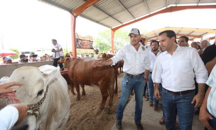 ‘Veterinario en tu rancho’, nuevo apoyo a pequeños ganaderos