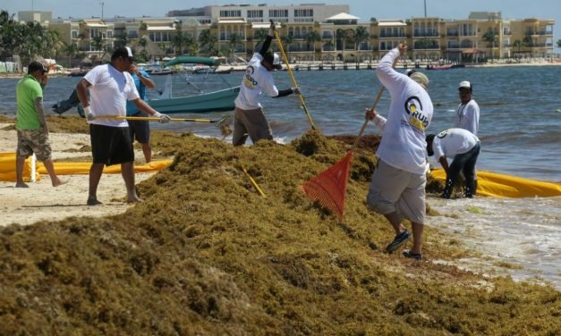 A Tiro de Piedra – Turismo, expectativas y realidad 2019