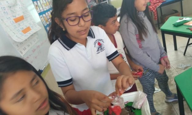 Niña de escuela indígena de Chapab, a Olimpiada del Conocimiento