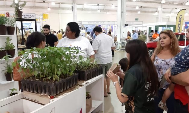 Cruzada Forestal 2019 del Ayuntamiento despierta interés y activa participación ciudadana