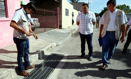 Campaña de fumigación y abatización en Mérida busca apoyo ciudadano