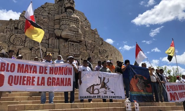 “Premio de racista y contaminante” a empresas de mega granjas porcícolas (Vídeo)