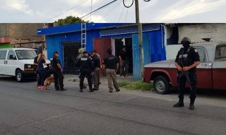 Catean predios y encuentran narcóticos, pero FGR no revela cantidades