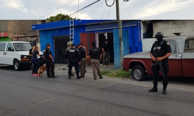 Catean predios y encuentran narcóticos, pero FGR no revela cantidades