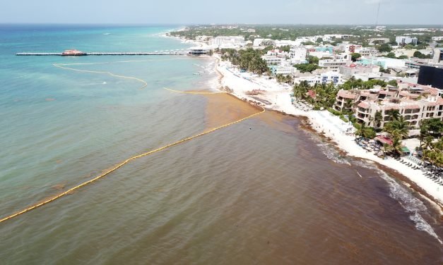 Sargazo, ‘problema menor’, insiste López Obrador en Cancún