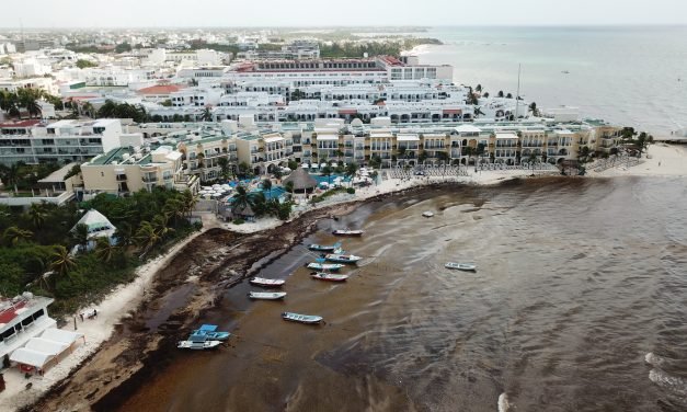 Sargazo en Riviera Maya ¿Problema grave?