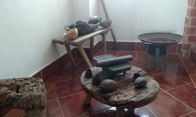 Cultiva y procesa cacao orgánico con miras a exportación