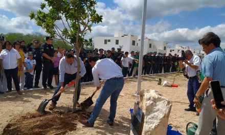 Quienes siembren árboles en Mérida pagarán menos predial