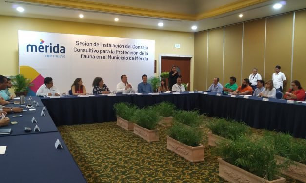 ¿Mérida, más amigable con animales? (Video)