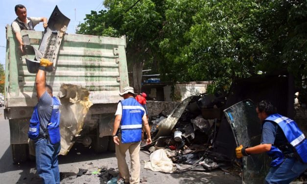Más de 833 toneladas de cacharros recogidas en colonias y comisarías de Mérida