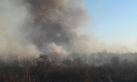 Finaliza temporada de quemas en Yucatán