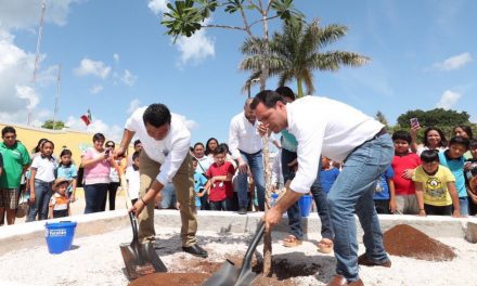 ‘Arborizando Yucatán’ sembrará 600 mil plantas en 105 municipios