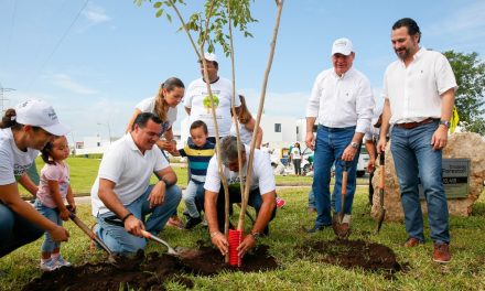 Arborización y mantenimiento de árboles, trabajo permanente de Ayuntamiento Mérida.- Renán Barrera