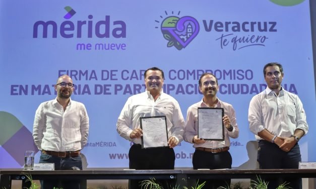 La participación ciudadana como contrapeso a gobernantes