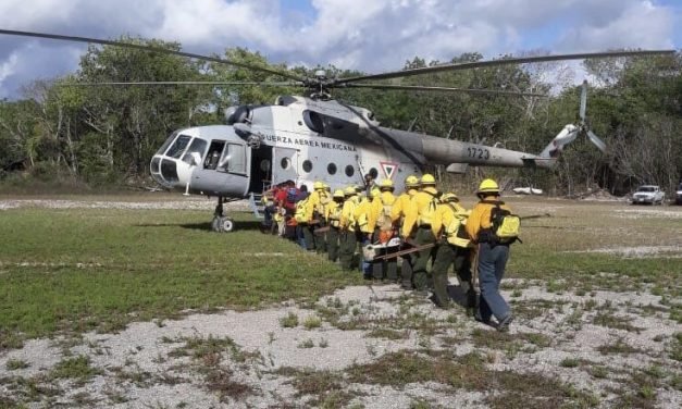 Controlado en 55 por ciento incendio forestal en Biosfera Sian Ka’an