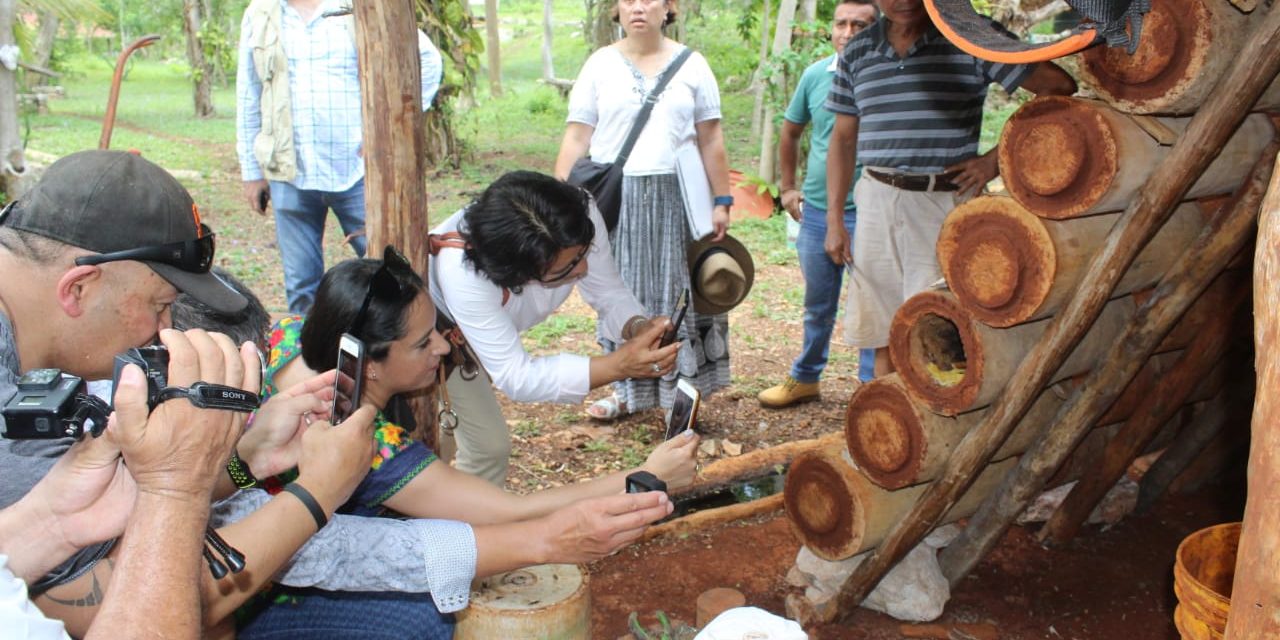 Intercambio de experiencias sobre apicultura maya y maorí