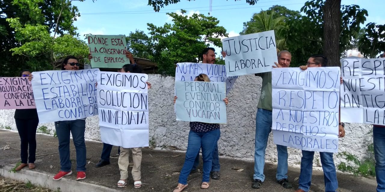 Primeros despidos en Conafor Yucatán desatan protesta (Video)